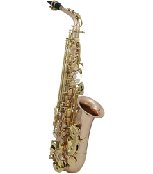 ROY BENSON - AS-202G Alto Saxophone - Χρυσό