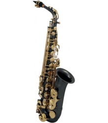 ROY BENSON - AS-202K Alto Saxophone - Ανθρακί